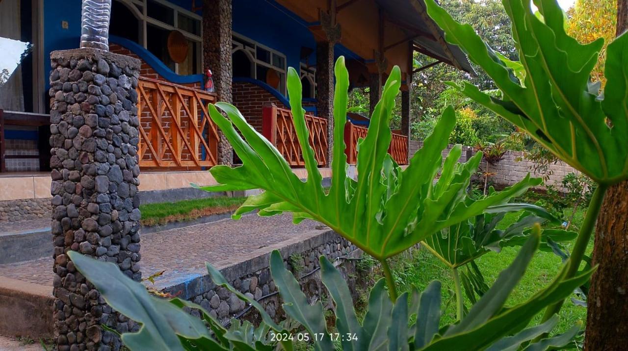 Blue Mountain Cottage Senaru Exterior foto